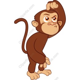 Cute Monkey