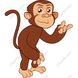 Charming Playful Monkey