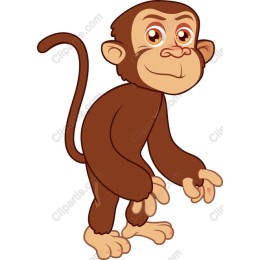 Charming Cartoon Monkey