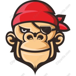 Pirate Monkey