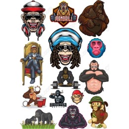 Playful Monkey Pack