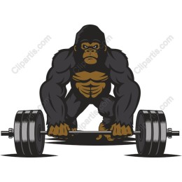 Muscular Gorilla Weightlifting