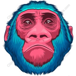 Vibrant Monkey Head