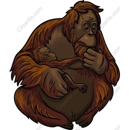 Tender Love: Mother and Baby Orangutan