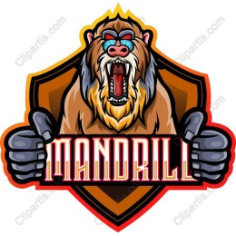 Mandrill - Dynamic Clipart