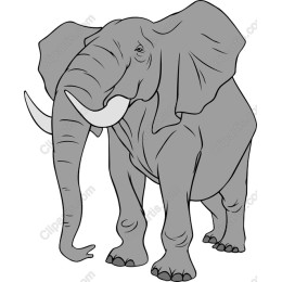 Majestic Elephant