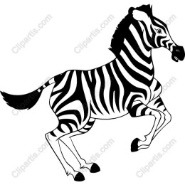 Dynamic Zebra