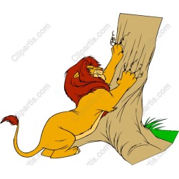 Majestic Lion