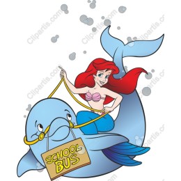 Whimsical Mermaid & Dolphin