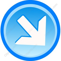 Dynamic Downward Arrow Icon