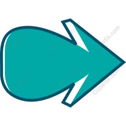 Teal Arrow Icon