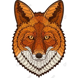 Geometric Fox
