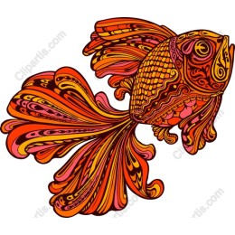 Vibrant Ornamental Goldfish
