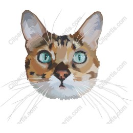 Cat Face - Feline Charisma