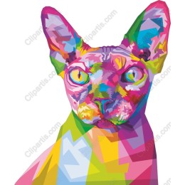 Vibrant Sphynx Cat