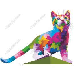 Colorful Cat