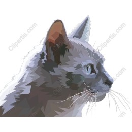 Elegant Geometric Cat