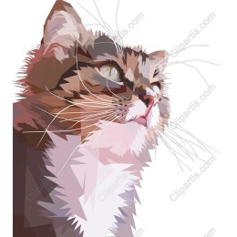Stylish Geometric Cat