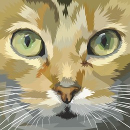 Geometric Cat Face