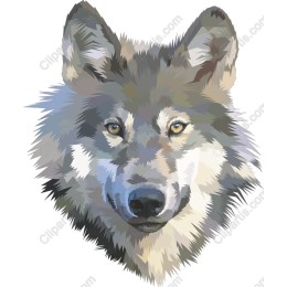 Majestic Wolf