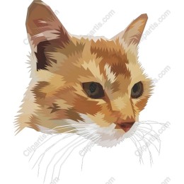 Geometric Cat Head