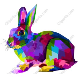 Colorful Geometric Rabbit