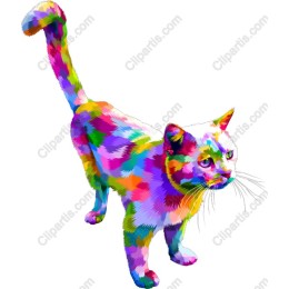 Colorful Cat