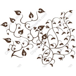 Elegant Vine