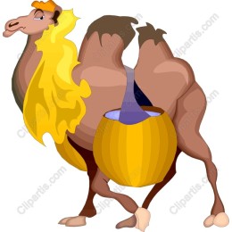 Charming Camel with Barrels