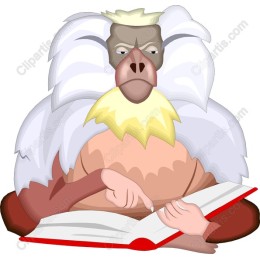 Wise Baboon Wisdom