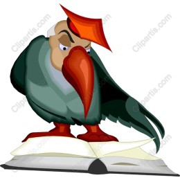 Wise Bird on Book