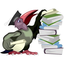 Graduated Toucan