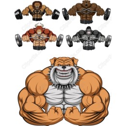 Muscular Animal Fitness Bundle