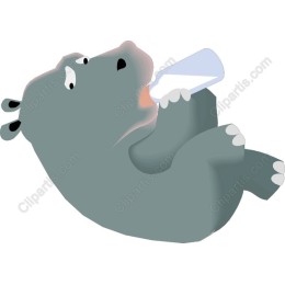 Playful Hippo