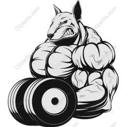 Muscular Dog Strength