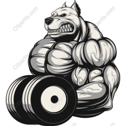 Musclebound Bulldog