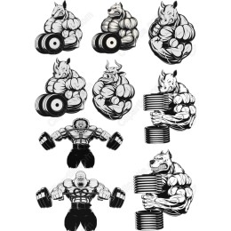 Animal Power Fitness Bundle