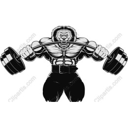 Muscular Lion Weightlifting