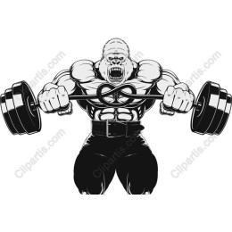 Muscular Gorilla Lifting Weights