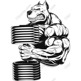 Muscular Dog Weightlifting