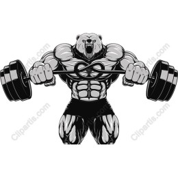 Fierce Bear Lifting Weights