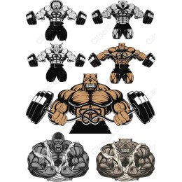 Dynamic Animal Strength Set