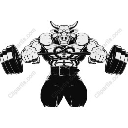 Muscular Bull Lifting Weights