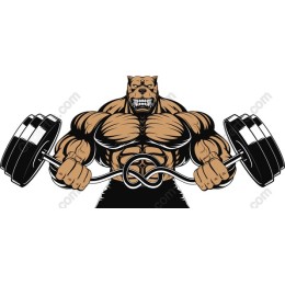 Muscle Bear with Dumbbells