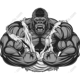 Powerful Muscular Gorilla