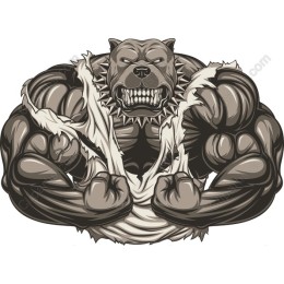 Fierce Bulldog