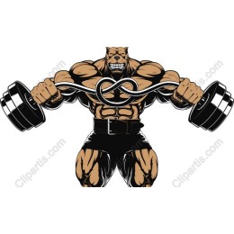 Powerful Bear Weightlifter
