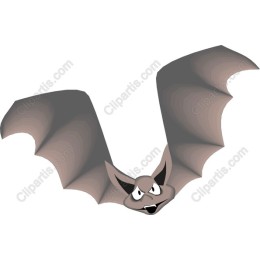 Playful Bat