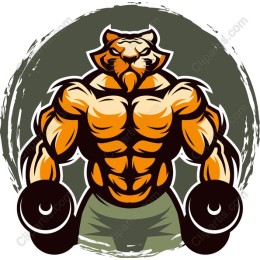 Muscular Bear