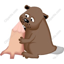Playful Beaver